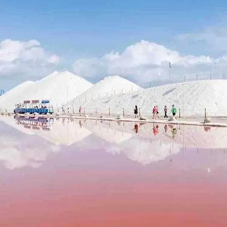 Pink Salt